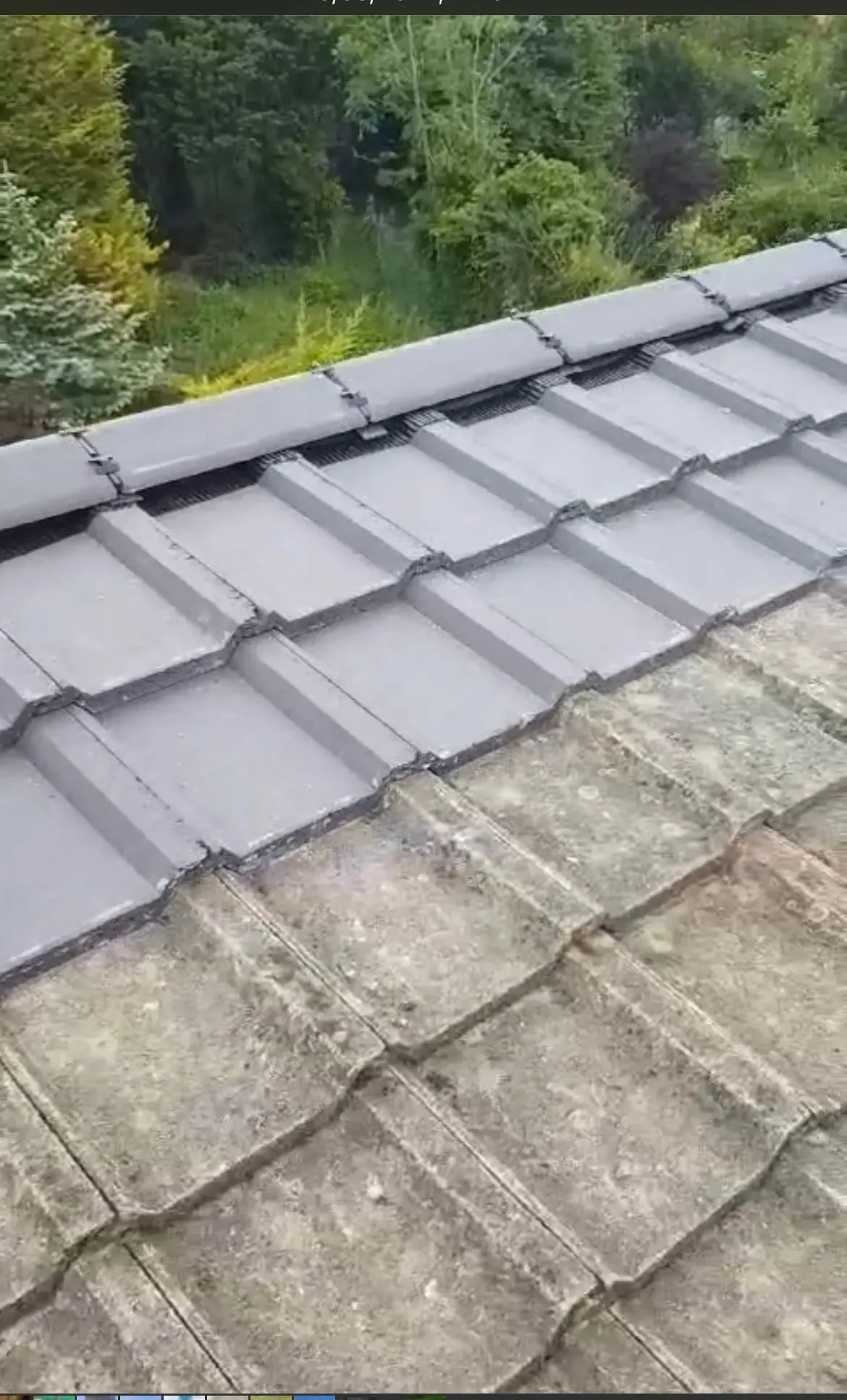 Example of concrete roof tiles before and after cleaning or moss removal